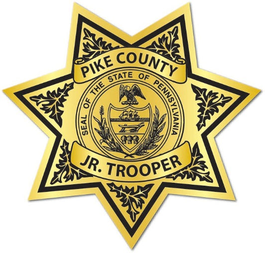 Jr. Trooper Sheriff Star Stickers (Item #216)