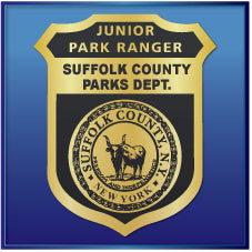PARK RANGER • FOREST RANGER STICKERS