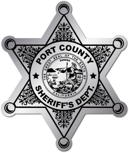 Silver Foil Jr. Deputy Sheriff Star Stickers 
