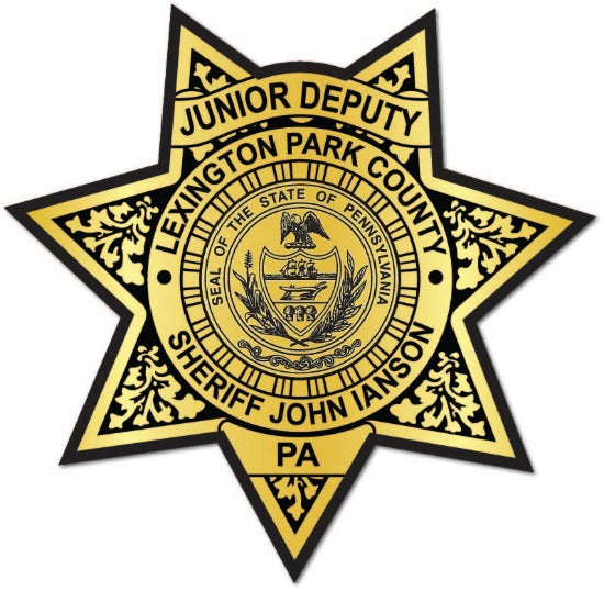 7pt. Sheriff Star Gold Jr. Deputy Badge Sticker 