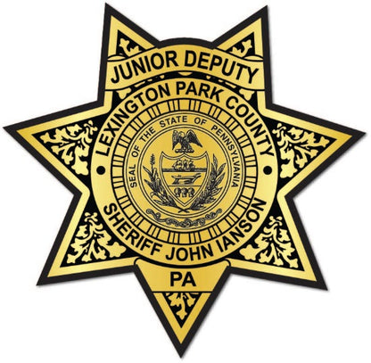7pt. Sheriff Star Gold Jr. Deputy Badge Sticker 