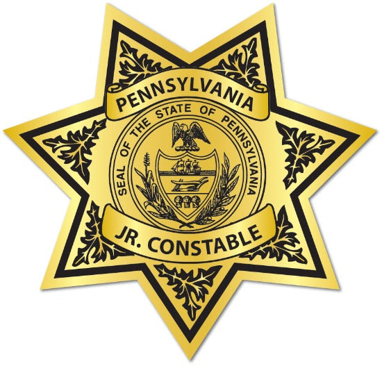 Gold 7 point sheriff Star Gold Jr. Constable Badge 