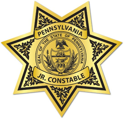Gold 7 point sheriff Star Gold Jr. Constable Badge 
