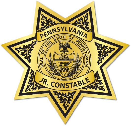 Gold 7 point sheriff Star Gold Jr. Constable Badge 