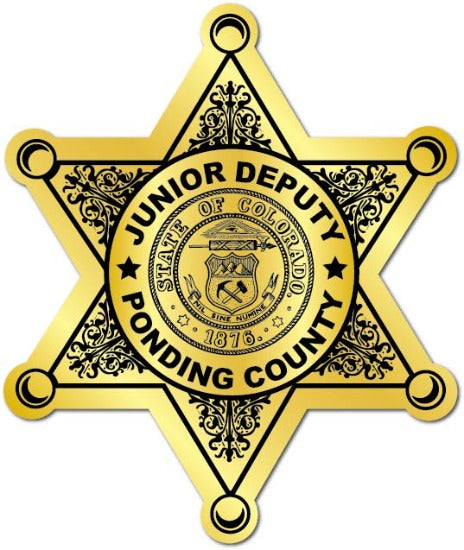6pt. Sheriff Star Stickers (Item #208)