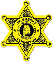 Load image into Gallery viewer, 6pt. Sheriff Star Stickers (Item #208)
