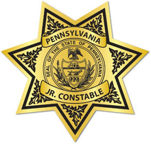 Load image into Gallery viewer, Junior Constable Star Stickers (Item #702)
