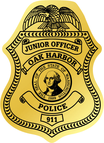 Police Junior Officer badge with eagle emblem in gold.