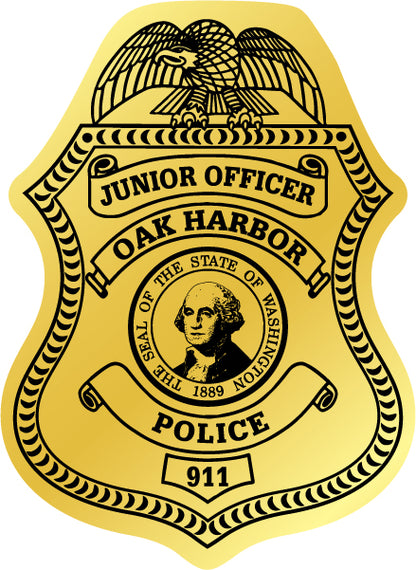 Police Junior Officer badge with eagle emblem in gold.
