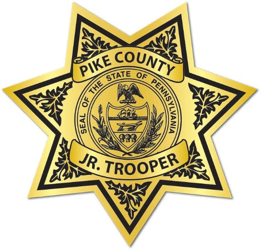 Jr. Trooper Gold Custom Stickers Sheriff Star