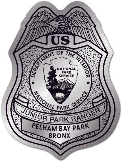 Silver USA Junior Park Ranger Badge Sticker
