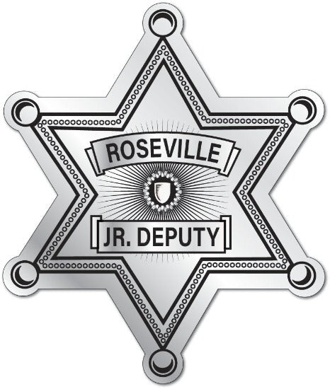 Junior Deputy Silver Stickers 