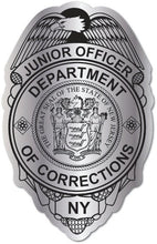 Load image into Gallery viewer, Dept. of Corrections Badge/Shield (Item #800)
