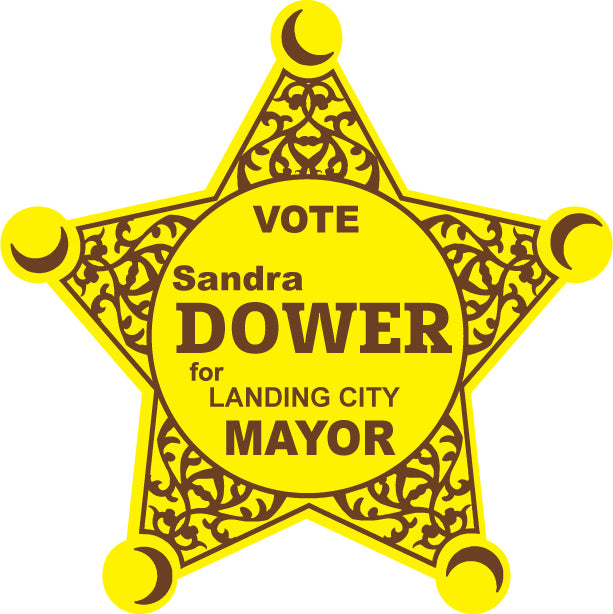 Sheriff Election Stickers Vote Elect Government