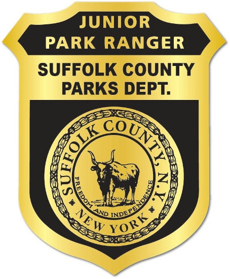 Gold Junior Park Ranger Parks Dept. Badge Stickers