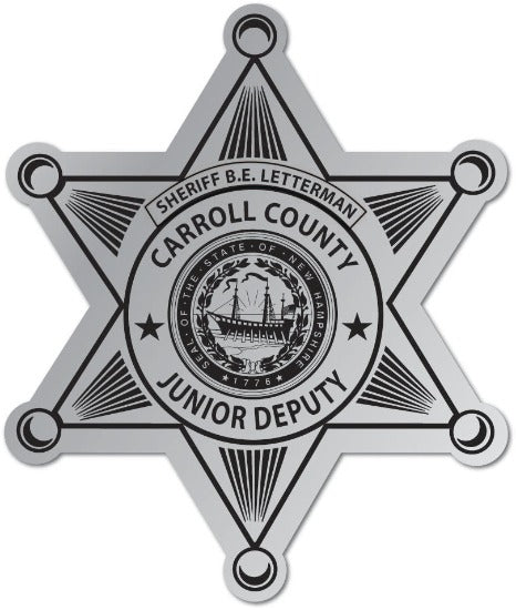 Jr. Deputy Sheriff Star 6pt. Sticker Custom Silver Foil