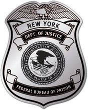 Load image into Gallery viewer, Dept. of Corrections Badge/Shield (Item #801)
